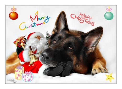 Weihnachten.jpg