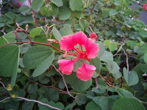 IMG_20100102_090141_副本.jpg