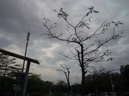 IMG_20100102_090347_副本.jpg
