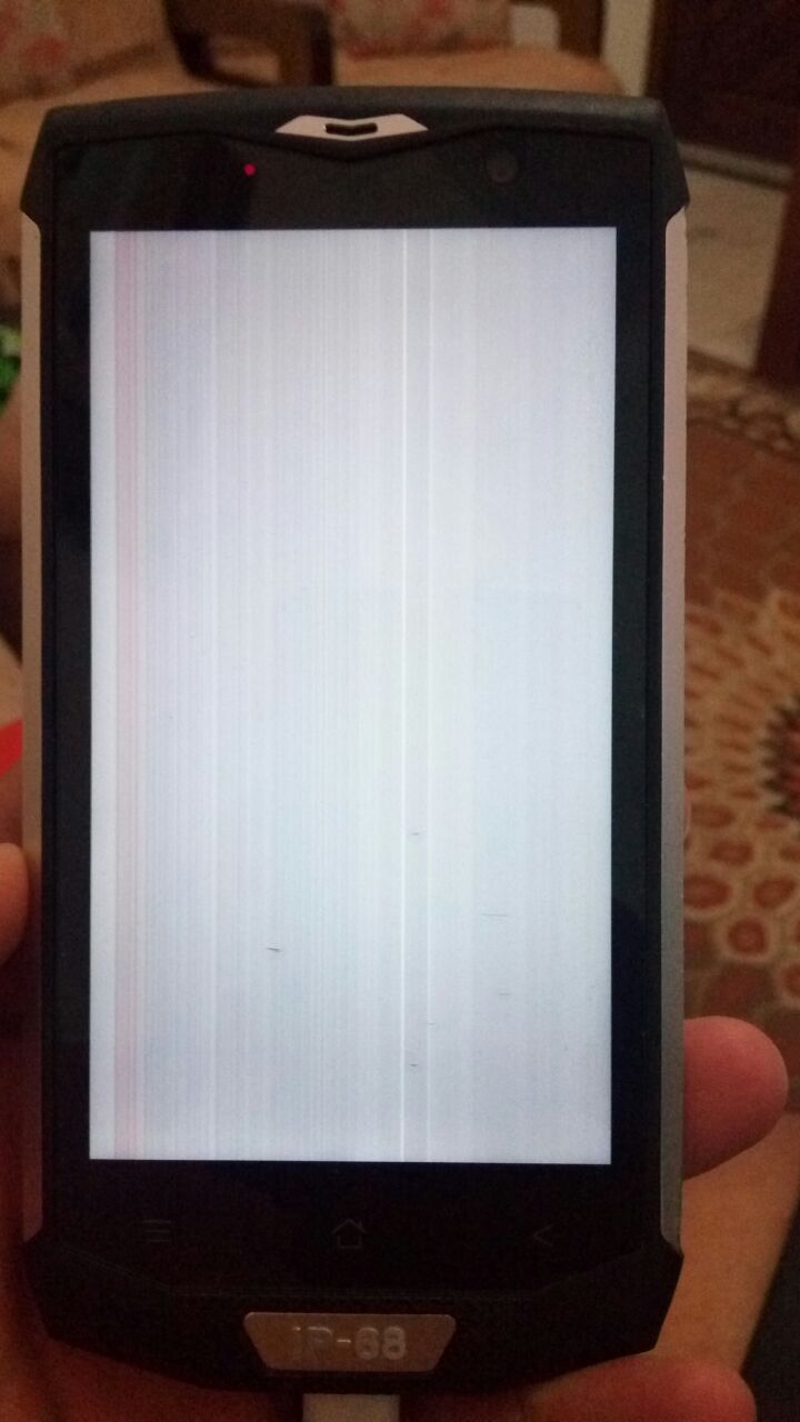 WhatsApp Image 2017-09-07 at 22.48.49 (1).jpeg