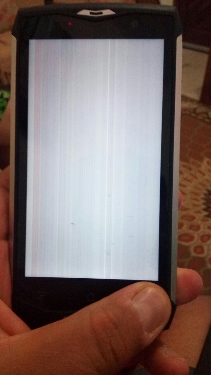 WhatsApp Image 2017-09-07 at 22.48.49.jpeg